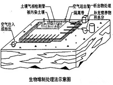 <b>生物堆修复技术</b>